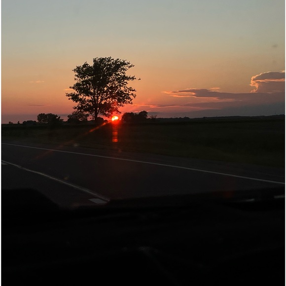 Meet your Posher, Darby - Picture 2 of 16